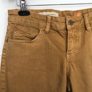 Anthropologie Stet Skinny Jean